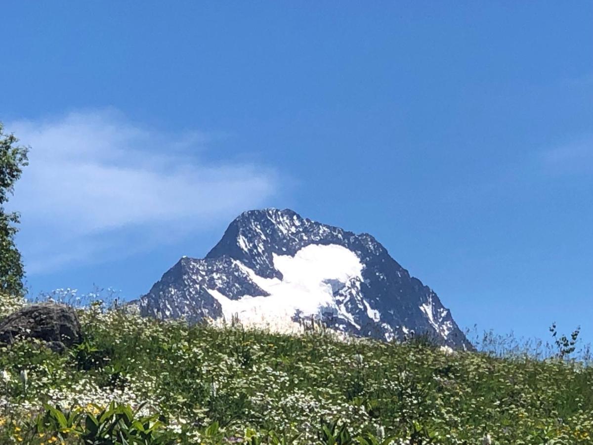 L'Ansloboys Montagne A2 Lejlighed Les Deux Alpes Eksteriør billede