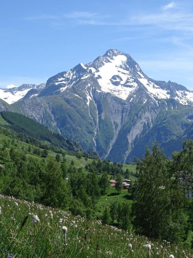 L'Ansloboys Montagne A2 Lejlighed Les Deux Alpes Eksteriør billede